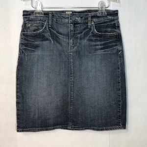 Kut from the Kloth Jean Skirt Size 6